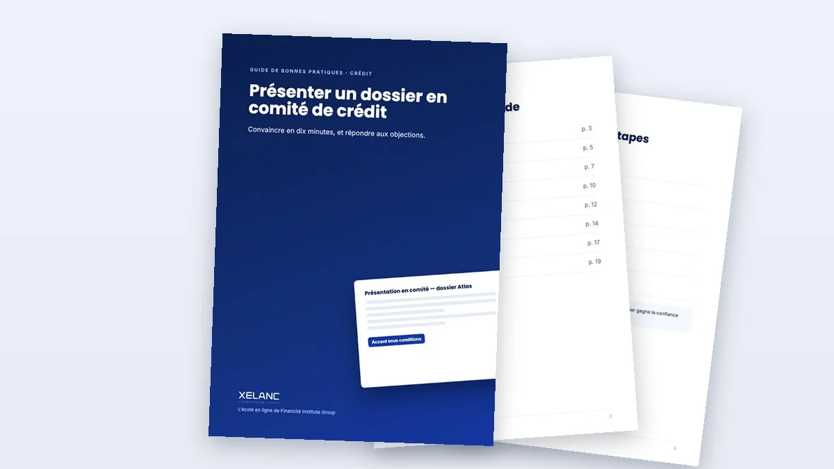 Aperçu : Présenter un dossier en comité de crédit